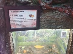 -上海大自然野生昆虫馆(东方明珠·爬宠昆虫探索中心)