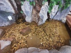 -长春宾馆·丽豪浴都