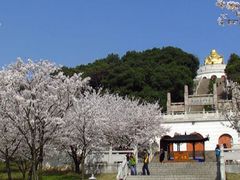 -香雪海