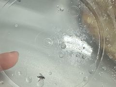 -文武王氏烧饼·无矾油条(西溪路店)