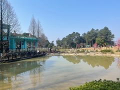 -铁山坪森林公园