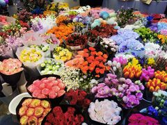 -双季花艺园艺市场(浦东店)