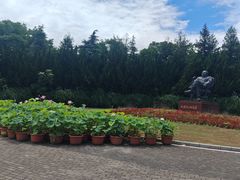 -上海海湾国家森林公园