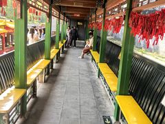-皇家御河游(紫御湾码头)