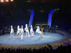 -珠海横琴长隆《卡卡虎奇遇记》