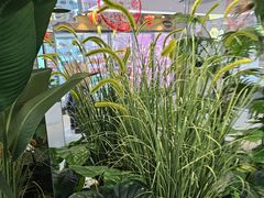 -中粮家佳康肉食(花市专卖店)