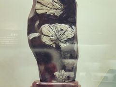 -甘肃地质博物馆