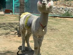 -南京金牛湖风景区