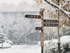 -大报恩寺遗址景区