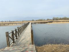 -野鸭湖国家湿地公园