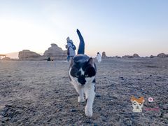 -敦煌雅丹国家地质公园