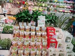 -万达广场(济南魏家庄店)