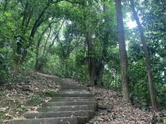 -重庆彩云湖湿地公园