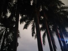 景点-南宁南湖公园