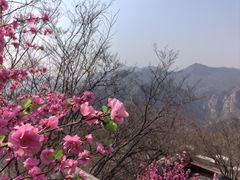 -京东石林峡风景区
