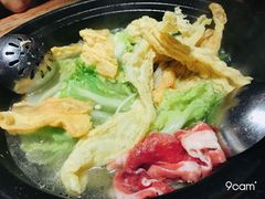 -春润大地海南椰子鸡(沙井京基百纳广场店)