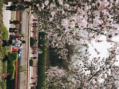 -海棠花溪(元大都城垣遗址公园)