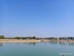 -西京湾花海