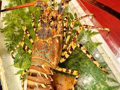 -吴记富苑(朝阳店)