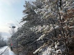 -帽儿山国家森林公园