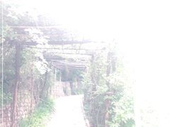 -井塘古村