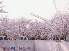 -龙美术馆(西岸馆)