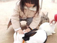 -前小桔亲子创意农场·草莓采摘·露营烧烤