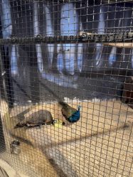 -酷嗒动物文化乐园(cutezoo西溪乐天城店)