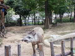 -郑州银基国际旅游度假区