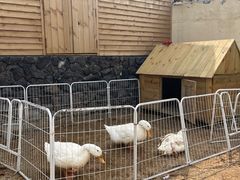 -HERRE·FARM 赫尔露营农场·团建聚会包场