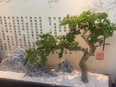 -悦享采耳·洗头头疗·推拿SPA(杭州店)