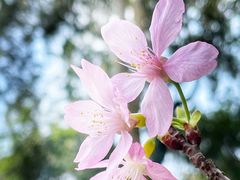 -玲珑·新粤菜(安华汇店)