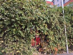 -斯多格书乡(北京大学畅春园店)