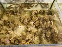 -北海（合浦）肥佬食街