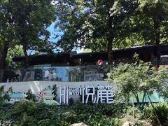 -茶颜悦色(岳麓山顶店)
