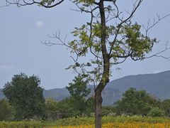 -良渚古城遗址公园