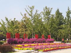 -大兴滨河森林公园