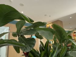点击看大图 -LIHER北京丽合医疗美容医院