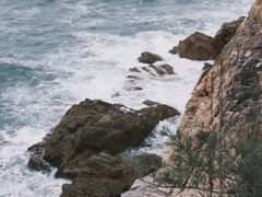 -广东惠东海龟国家级自然保护区