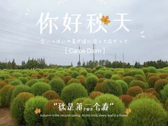 -花开海上生态园