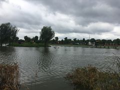 -明珠湖天鹅苑·农家菜馆