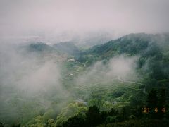 -杨家堂村