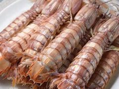 -徐记手切鲜羊肉(辽沈二街店)
