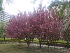 -北京好苑建国酒店