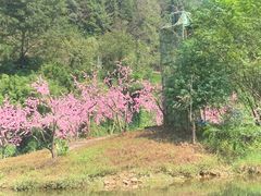 -常德桃花源景区