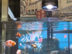 -華歡冰室-WahFoon(吉大店)