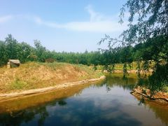 -东郊湿地公园
