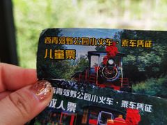 -西青郊野公园