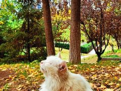 -元大都城垣遗址公园