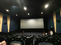 -AMG海上明珠影城(上海环球港RealDCinema店)